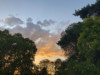 40-Le ciel de Bagatelle thumbnail